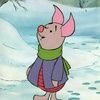 piglet65